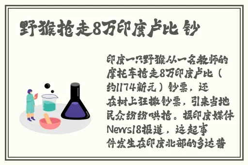 混乱关系美国高清在线观看